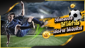 แทงบอลราคาพูล